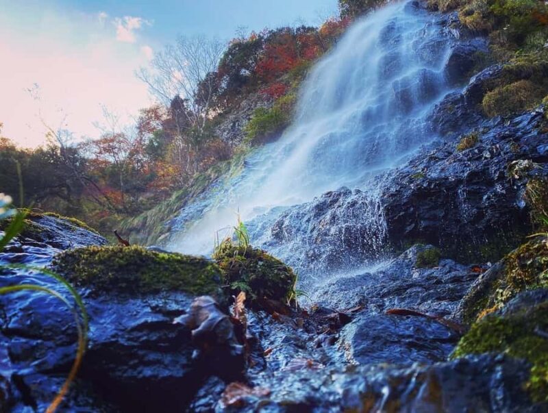 Osaka: Hyogo Day Trip with Ritsunkyo Gorge & Izushi - Good To Know