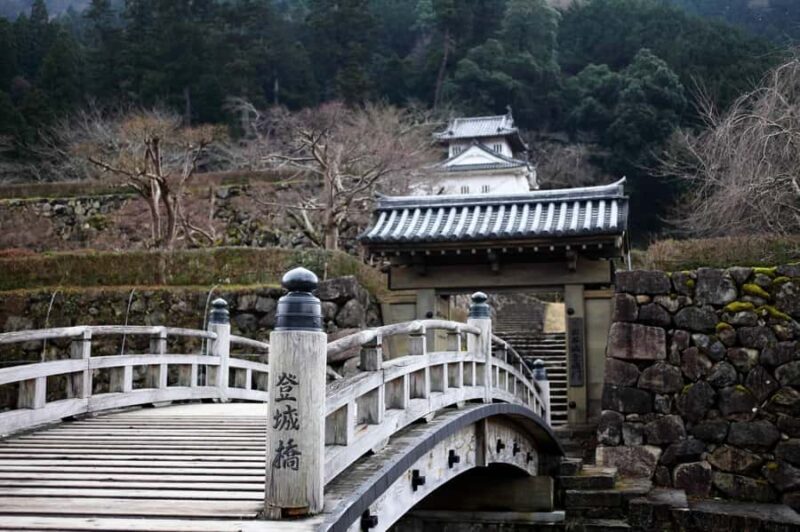 Osaka: Hyogo Day Trip with Ritsunkyo Gorge & Izushi - Osaka: Hyogo Day Trip with Ritsunkyo Gorge & Izushi – An Authentic Adventure