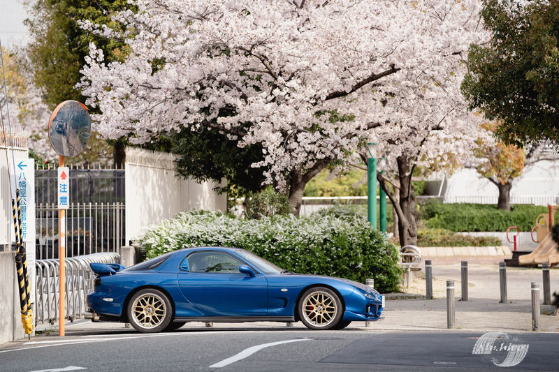 Osaka: Initial D Car Model Private Charter Experience in Japan - Who will get the most from this ride?