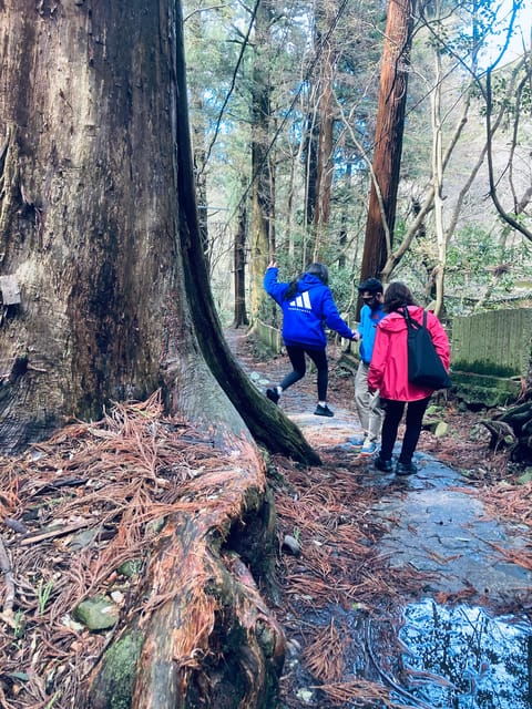 Osaka Izumisano: Mt. Inunaki Trekking and Hot Springs - Good To Know
