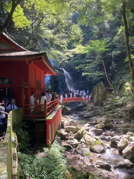Osaka Izumisano: Mt. Inunaki Trekking and Hot Springs - Accessibility and Restrictions