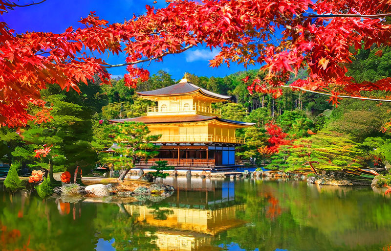Osaka Katsuo-ji, Arashiyama, Kinkaku-ji Full-Day Tour - Who should choose this outing