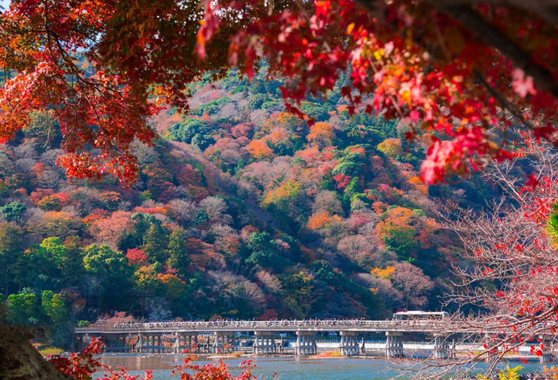 Osaka Katsuo-ji & Kyoto Arashiyama & Fushimi Inari Tour (From Osaka) - What the guide and bus add