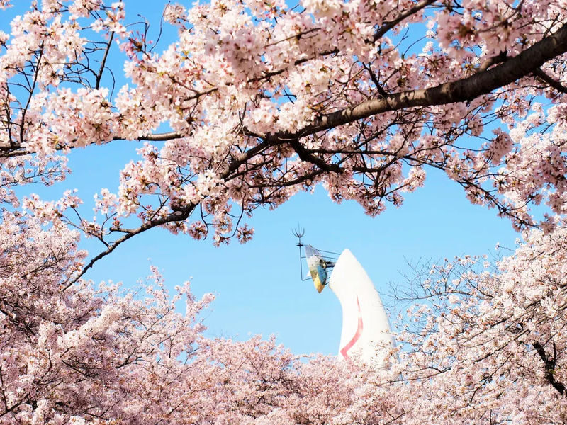 Osaka Katsuo-ji & Minookoen Full-Day Romantic Hiking Tour - Other park stops and the route you should confirm