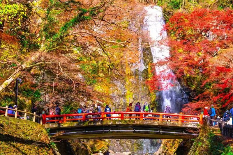 Osaka Katsuo-ji & Minookoen Full-Day Romantic Hiking Tour - What the price of $46.25 gets you
