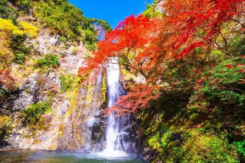 Osaka Katsuo-ji & Minookoen Full-Day Romantic Hiking Tour - Timing, weather and a few practical cautions