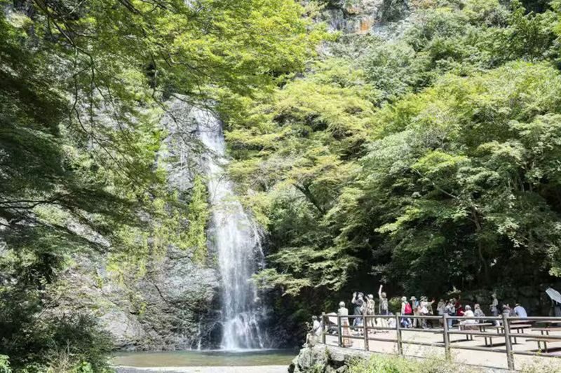 Osaka Katsuo-ji & Minookoen Full-Day Romantic Hiking Tour - Who will enjoy this day most