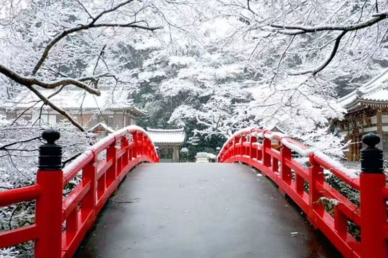Osaka Katsuo-ji & Minookoen Full-Day Romantic Hiking Tour - Should you book the Katsuo-ji and Minoo Park tour?