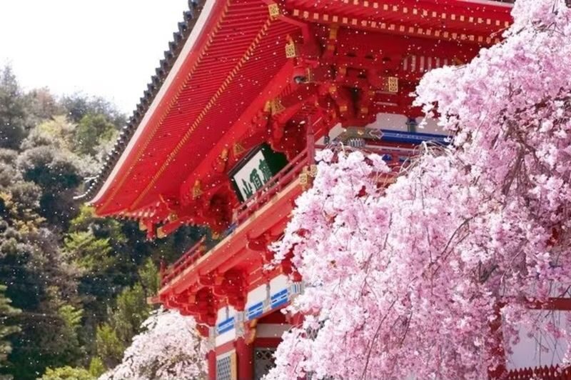 Osaka: Katsuo-ji Temple - Getting there from central Osaka