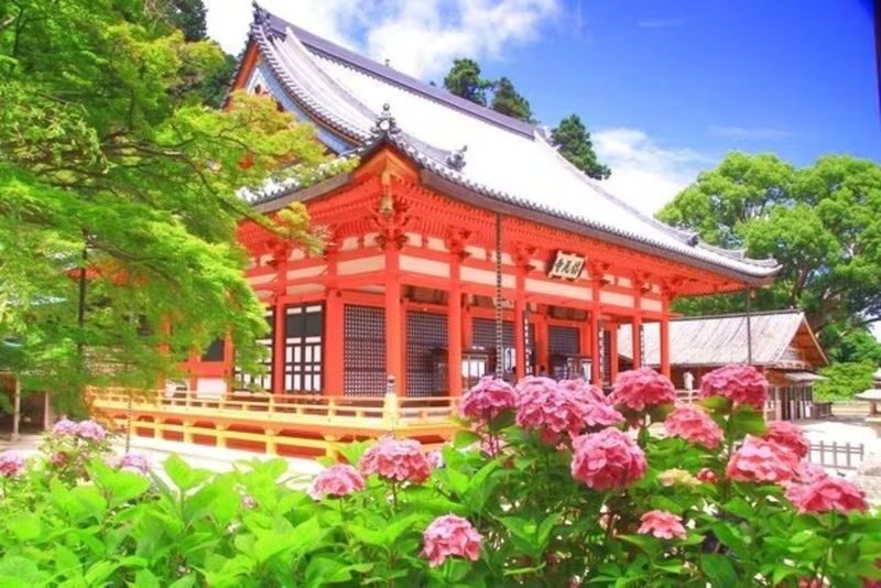 Osaka: Katsuo-ji Temple - Timing your visit and handling crowds