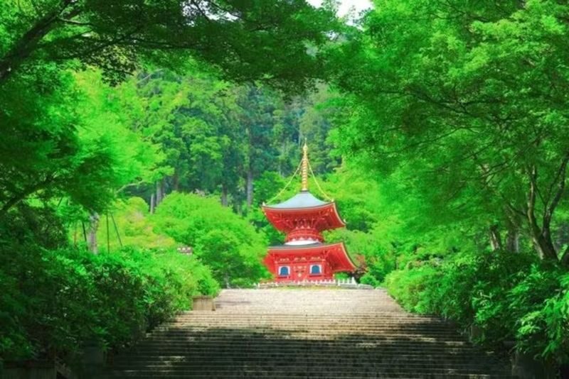 Osaka: Katsuo-ji Temple - Who will get the most from this visit