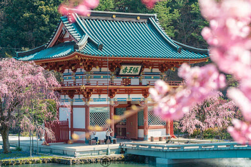 Osaka Katsuo-ji Temple & Sushi Making Experience with Tickets - Transport helps make the temple accessible