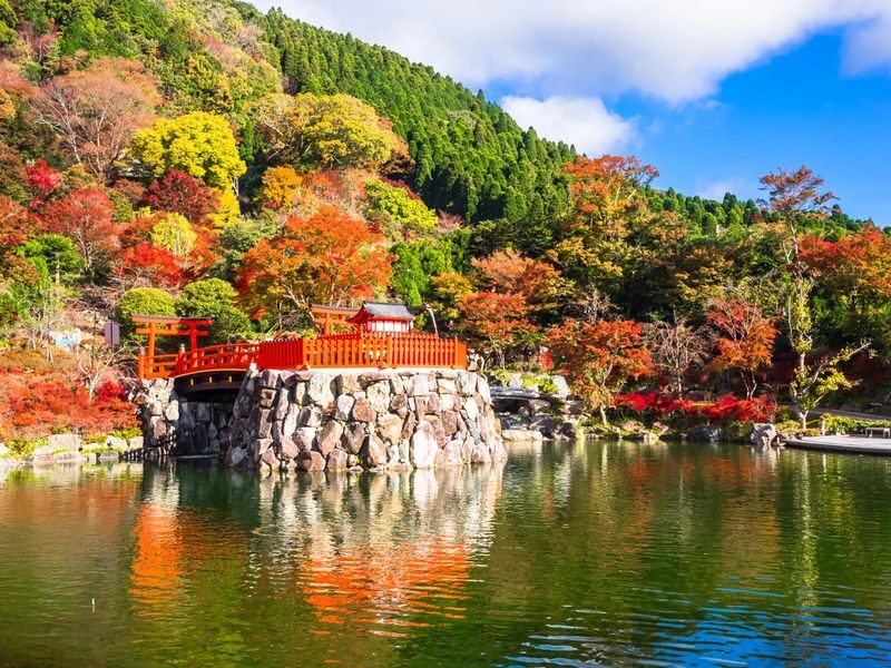 Osaka Katsuo-ji Temple & Sushi Making Experience with Tickets - Is $63.09 good value?