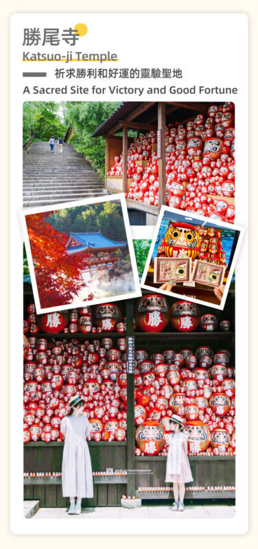 Osaka Katsuoji Temple and Arashiyama Full-Day Guided Tour - What the guide service is really like