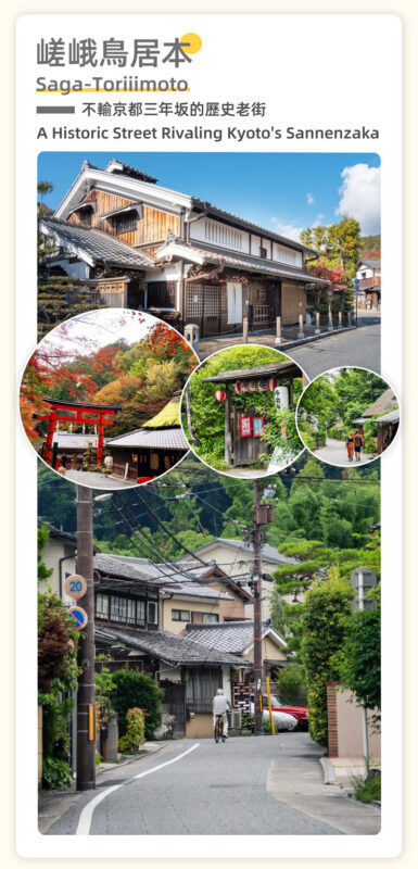 Osaka Katsuoji Temple and Arashiyama Full-Day Guided Tour - Who will get the most from this day