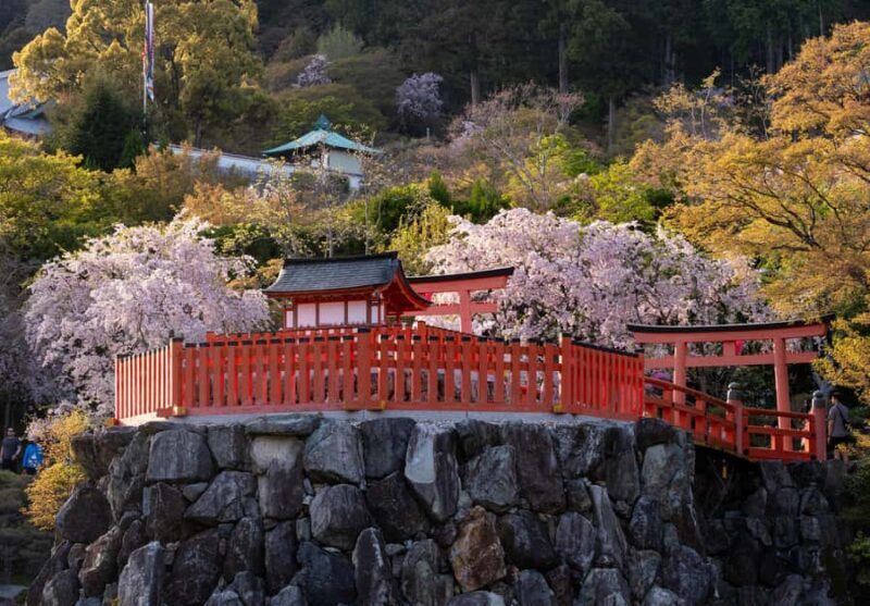 Osaka: Katsuoji Temple Guided Tour with Bus Transfer - Why You’ll Love Visiting Katsuoji Temple