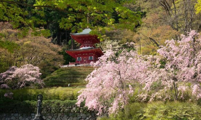 Osaka: Katsuoji Temple Guided Tour with Bus Transfer - What to Expect on the Tour