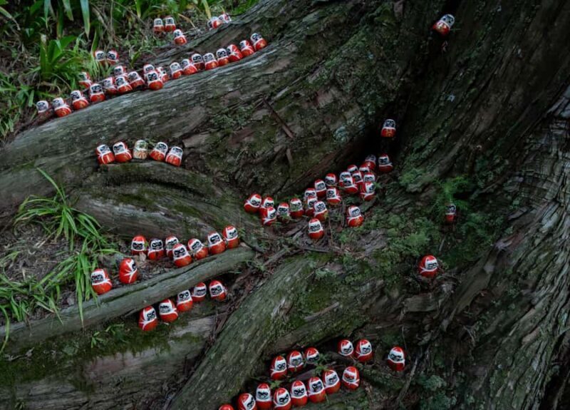 Osaka: Katsuoji Temple Guided Tour with Bus Transfer - The Sum Up