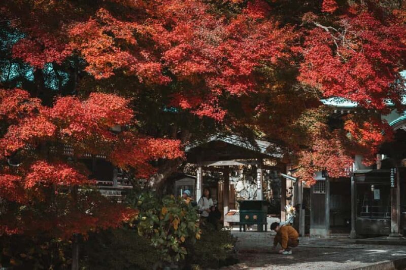 Osaka: Katsuoji Temple Guided Tour with Bus Transfer - What To Expect at Katsuoji Temple