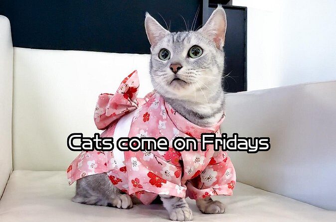 Osaka Kimono Rental - The Sum Up  