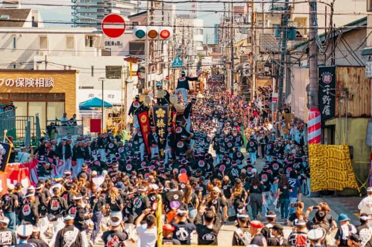 Osaka Kishiwada Danjiri Festival Viewing Seats - Viewing Areas and Locations