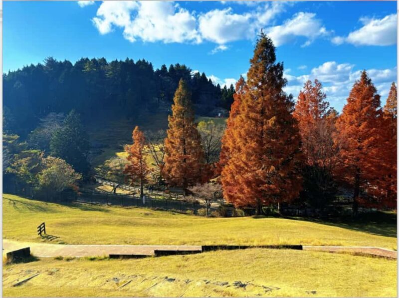 Osaka: Kobe Private Day Tour with Local Driver and Transfers - Why This Tour Offers Great Value