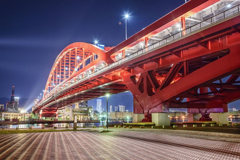 Osaka Kobe Suma Seaworld & Rokko Garden Terrace Full-Day Tour with Night View - What the guide adds beyond transportation