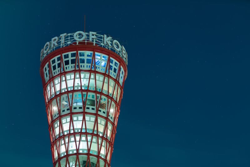 Osaka Kobe Suma Seaworld & Rokko Garden Terrace Full-Day Tour with Night View - Who should book this Kobe outing?