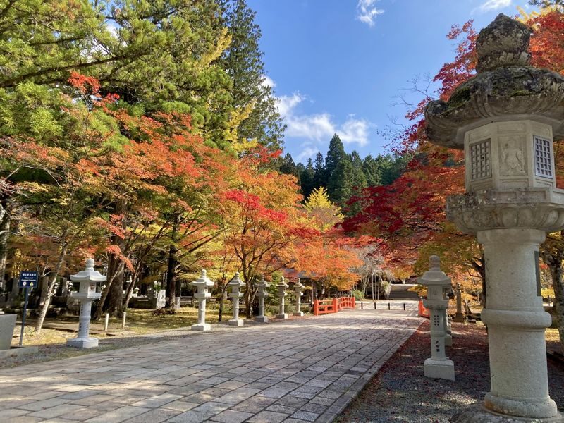 Osaka Koyasan & Okunoin Cemetery Day Tour - Vegetarian lunch breaks up the journey