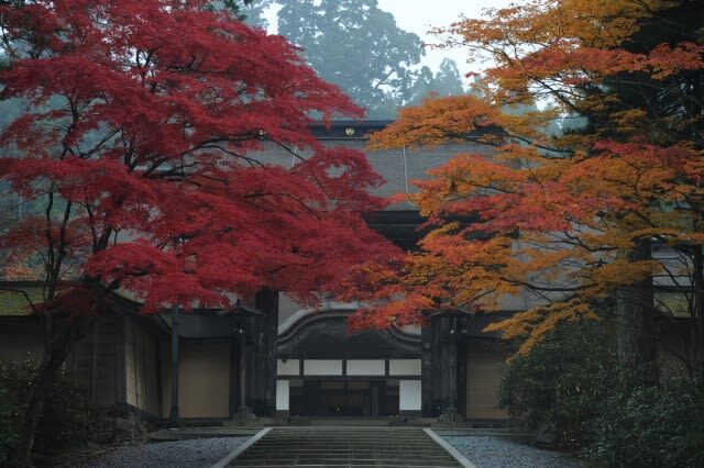 Osaka Koyasan & Okunoin Cemetery Day Tour - Kongobu-ji and Danjo Garan give the afternoon its structure