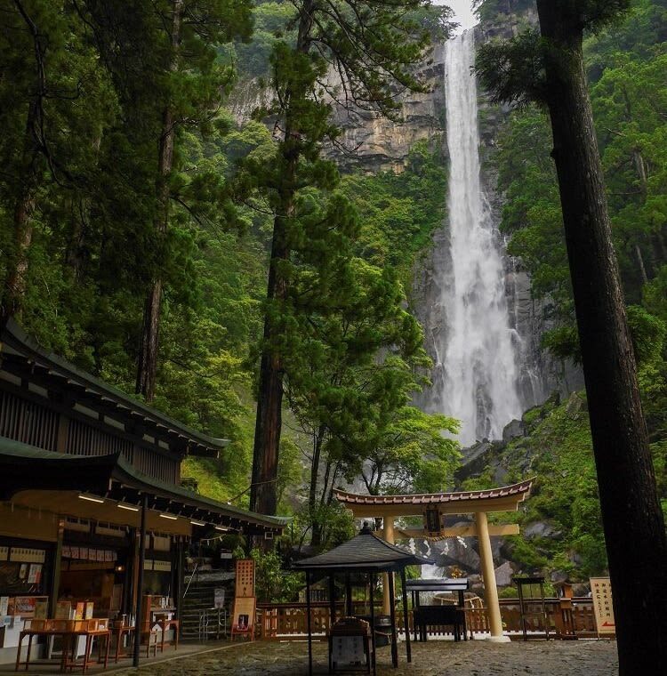 Osaka Kumano Nachi Taisha & Hayatama Taisha Full-Day Guided Tour - A full day beyond Osaka