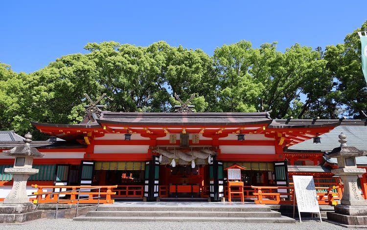 Osaka Kumano Nachi Taisha & Hayatama Taisha Full-Day Guided Tour - Who should book this day trip?