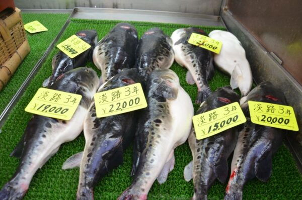 Osaka: Kuromon Market Food Tour With Tastings - The Sum Up
