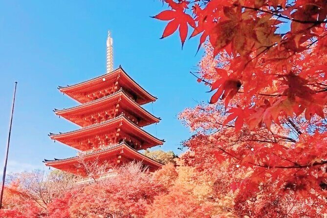 Osaka/Kyoto: Amanohashidate, Ine Bay & Nariaiji Bus Tour w/ Lunch - Exploring the Beauty of Amanohashidate, Ine Bay & Nariaiji Temple: A Practical Guide