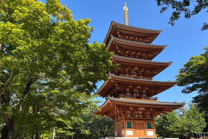 Osaka/Kyoto: Amanohashidate, Ine Bay & Nariaiji Bus Tour w/ Lunch - Who This Tour Is Best For