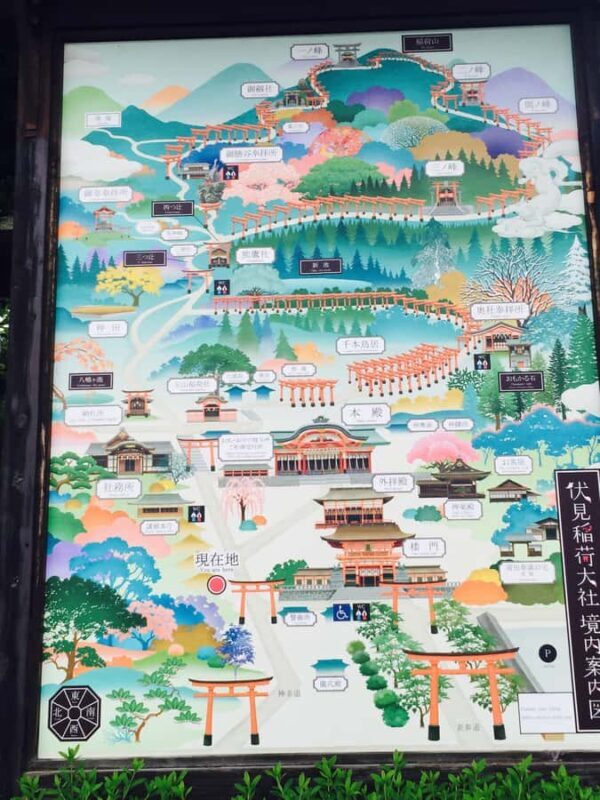 Osaka: Kyoto and Nara Day Trip with Pickup - What Makes This Tour Stand Out?