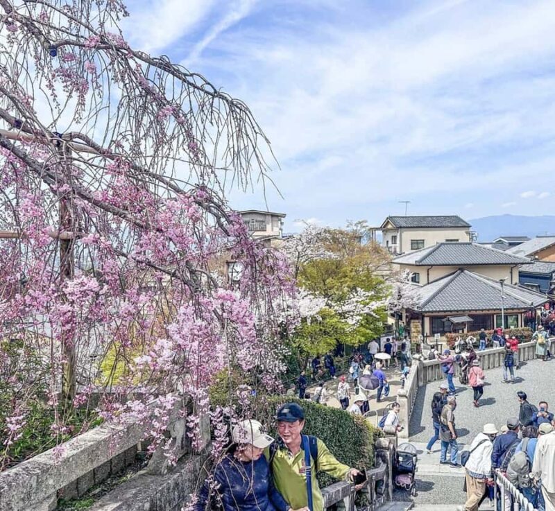 Osaka: Kyoto And Nara private Adventure Tour Hotel Pickup - Good To Know