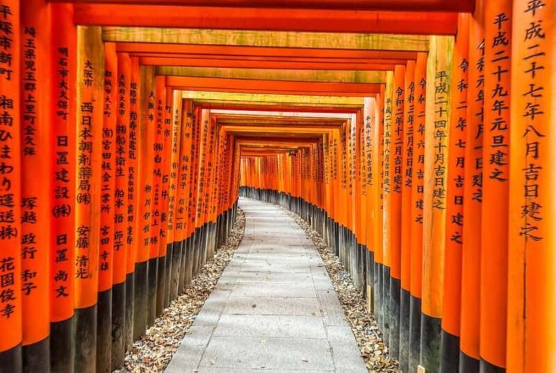 Osaka: Kyoto And Nara private Adventure Tour Hotel Pickup - Why This Tour Works Well