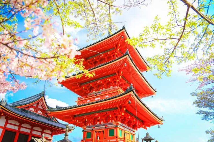 Osaka: Kyoto and Nara UNESCO World Heritage Sites Day Trip - Good To Know