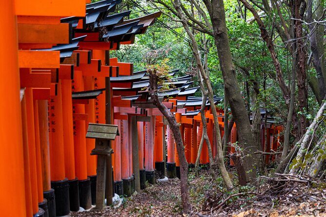Osaka/Kyoto: Arashiyama, Fushimi Inari & Nara Park Day Trip - Practical Tips for Travelers