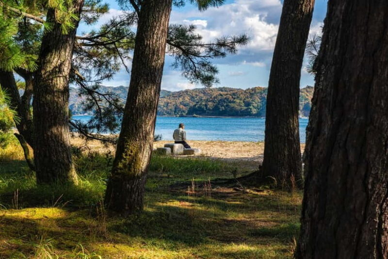 Osaka: Kyoto By The Sea with Amanohashidate & Ine no Funaya - Practical Details and Tour Logistics