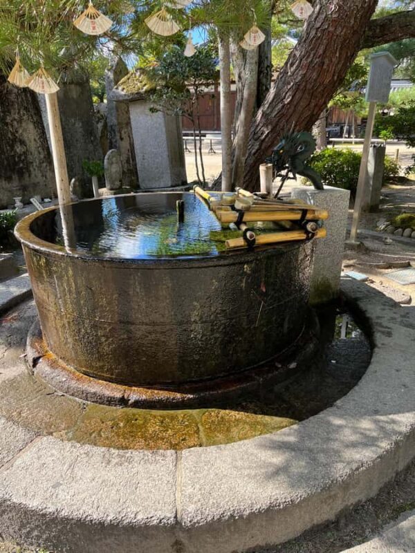 Osaka/Kyoto: Enjoy Amanohashidate & Ine 1-Day Bus Tour - Who Should Consider This Tour?