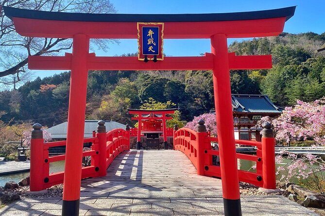 Osaka / Kyoto: Katsuoji, Arashiyama & Kinkaku-ji One Day Tour - Authenticity and Review Insights