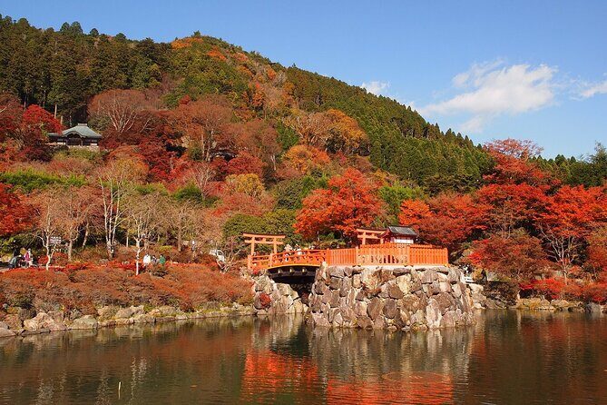 Osaka / Kyoto: Katsuoji, Arashiyama & Kinkaku-ji One Day Tour - Who Should Consider This Tour?
