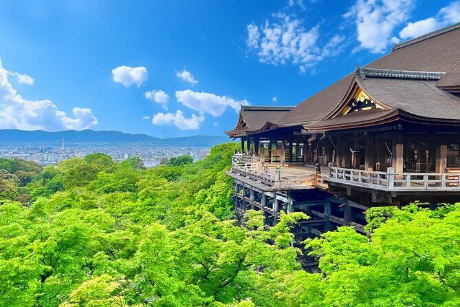 Osaka / Kyoto: Kinkaku-ji, Kiyomizu-dera Temple, Sannenzaka & Uji - Who Will Love This Tour?