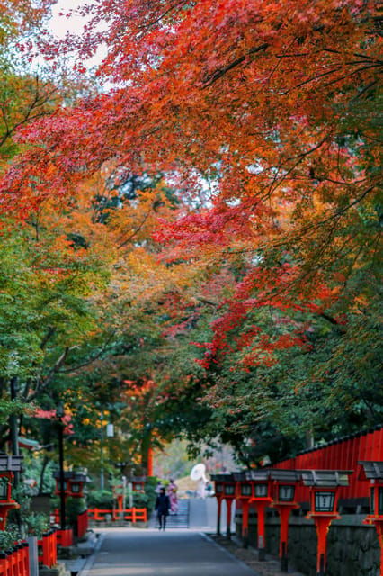 Osaka/Kyoto: Kiyomizu-dera, Kinkaku-ji,Nippon Style Day Trip - Tour Inclusions