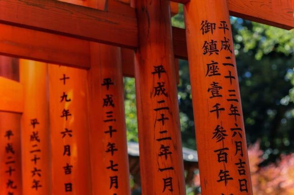 Osaka/Kyoto: Kiyomizu-dera, Kinkaku-ji,Nippon Style Day Trip - Important Information
