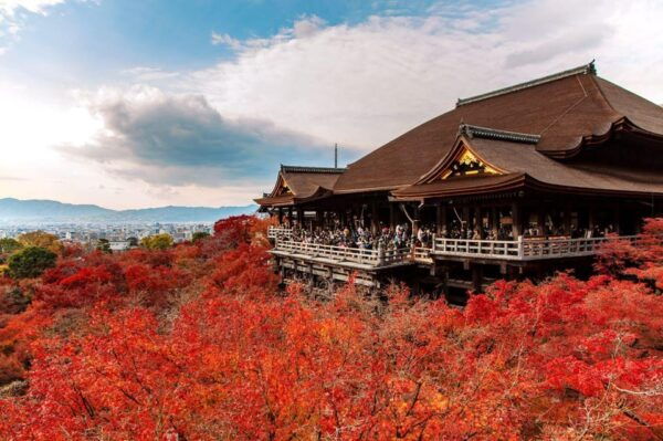 Osaka/Kyoto: Kiyomizu-dera, Kinkaku-ji,Nippon Style Day Trip - Travel Tips