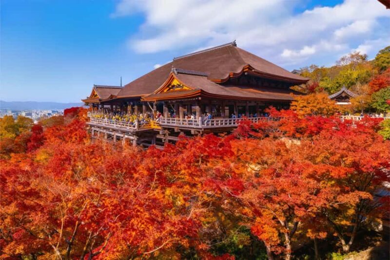 Osaka: Kyoto Kiyomizudera Tour & Pottery Craft Experience - Who Would Love This Tour?