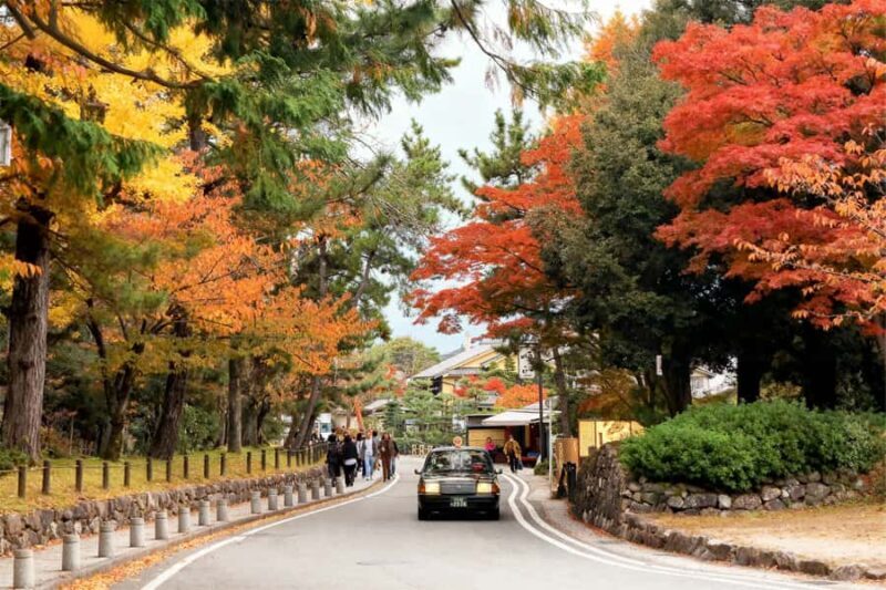Osaka: Kyoto Kiyomizudera Tour & Pottery Craft Experience - Good To Know
